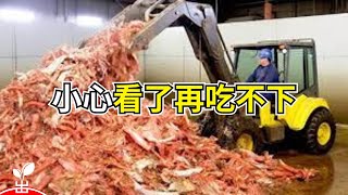 不為人知的食物製作過程，看看以後還敢吃嗎？【出類拔萃】 [upl. by Annaya]