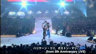 AAA  ハリケーン・リリ ボストン・マリfrom 5th Anniversary Live [upl. by Seyler]