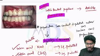 RAPID REVISION SERIES  PART 2  NEET MDS 2024 [upl. by Alma]