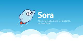 The Sora App [upl. by Atnwahsal]