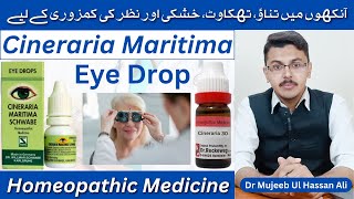 Cineraria Maritima Schwabe eye drops benefits in Hindi  Cineraria Maritima Eye Drops  Cineraria 30 [upl. by Cottrell]