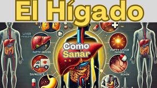 El Hígado Recupera la Salud de Tu Hígado con Estas 5 Plantas Milagrosas [upl. by Dimitris517]