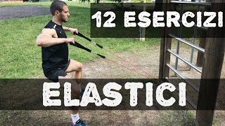 12 esercizi con gli ELASTICI [upl. by Ordnaxela802]