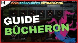 New world  BÛCHERON Guide métier complet Niveau 0 à 200 [upl. by Ramirolg]