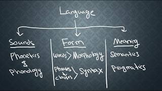 SEMANTICS1 What is Semantics [upl. by Anyrb942]