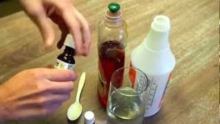 Get Rid of Spiders How to Make Natural Spider Repellent [upl. by Tap]