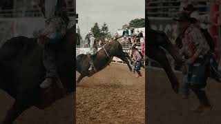 California Salinas Rodeo Highlight [upl. by Fradin]