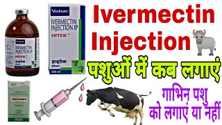 Ivermectin Injection vetnary पशुओं में किन रोगों में काम करता हैइसके क्या साइड इफेक्ट हैDermatitis [upl. by Scarrow]