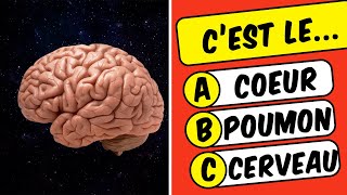 ConnaisTu Vraiment le Corps Humain  Quiz de Culture Générale sur LANATOMIE [upl. by Ygief]