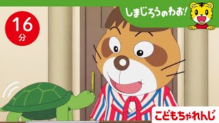 【16分アニメ】カメさんを育てるぞ🐢 ペットも大切な家族  生き物の命・動物を飼うこと・お世話・責任  しまじろうのわお！アニメ  しまじろうチャンネル公式 [upl. by Prosperus756]