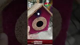 cat houseবিড়ালের ঘর  siraj tech [upl. by Izmar307]