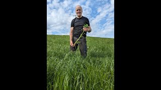 Biodynamic carbon farming  First silage cut May 5th 2024 [upl. by Anaet]