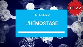 UE 22  lHémostase [upl. by Amaty662]