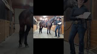 Western Dressage Quick Tips [upl. by Llirrem]