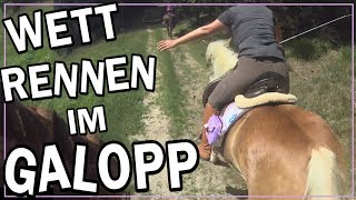 Wettrennen im Galopp ✮✮✮✮✮ [upl. by Semele]