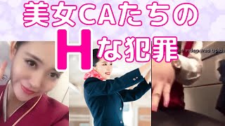 【ゆっくり解説】美人CAの叡智な事件 [upl. by Itnava]