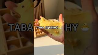 RESULTS I Made a VIRAL TABA SQUISHY 😱😳 How to Make a Taba Squishy Tutorial [upl. by Enilegna]