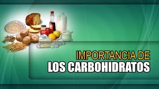 Importancia de los Carbohidratos [upl. by Wallis]