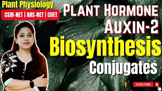 Plant Hormone Auxin Part 2  Biosynthesis of Auxin  Conjugates  Phytohormones  CSIRNET [upl. by Meadow]