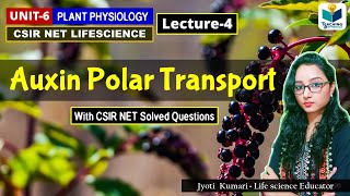 TRANSPORT OF AUXIN  PHYTOHORMONE PART4CSIR NET PLANT BIOLOGY [upl. by Taryne847]