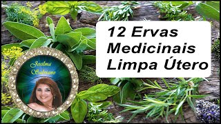 12 Ervas Medicinais  Limpa Útero [upl. by Nilla788]