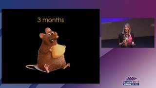 IFOMPT 2016 Plenary Sessions  Annina Schmid [upl. by Kallick]