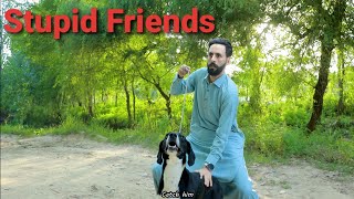 Types of stupid friends part 2 Buner vines new funny video [upl. by Celinka550]