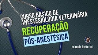 Aula 26  Recuperação pósanestésica Curso básico em anestesia veterinária indução [upl. by Corissa654]