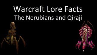 Warcraft Lore Facts  The Nerubians and Qiraji [upl. by Aikahc]