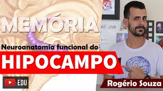 HIPOCAMPO E ÁREAS DE MEMÓRIA Neuroanatomia Funcional Vídeo Aula  Rogério Souza [upl. by Hart]