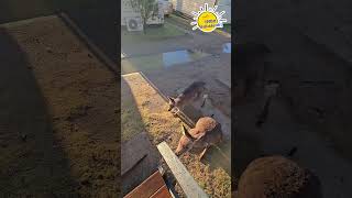 Waking up to some visitors on our vacation in Discovery Parks at Pambula Beach NSW beach [upl. by Calle]