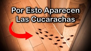 SIGNIFICADO EMOCIONAL por el que APARECEN las CUCARACHAS en Tu HOGAR 🐙 La CASA ENFERMA y las PLAGAS [upl. by Atsugua]