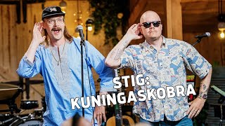 STIG – Kuningaskobra  Vain elämää [upl. by Rhynd]