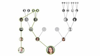 Connect to the Family Tree on FamilySearch [upl. by Veal]