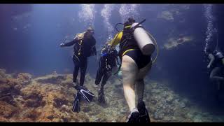 Roatan Diving at Turquoise Bay Resort [upl. by Ayotas]