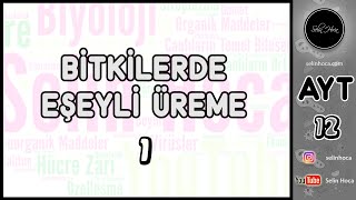 25 Bitkilerde Eşeyli Üreme 1 Tohum ve Yumurta Oluşumu [upl. by Bordiuk462]