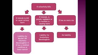 Voluntary Manslaughter [upl. by Sivad]