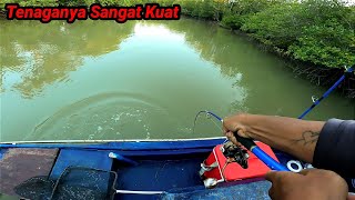 ini Dia ikan Besar kesukaan Para Pemancing Berhasil Saya Dapatkan ikan Besar Kuat [upl. by Yrallam]