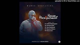 Mambo Dhuterere Nadah Pachiputukezi Album Mixtape By Dj Norest Chizanga Veku hkd 27 61 377 8860 [upl. by Ahsiet]