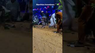 kankourangmbour sorouba🔥 diambadong☘️🌾🔥✌️ mboursenegal viral duo flyp foryou Pourtoi duet [upl. by Grunenwald]