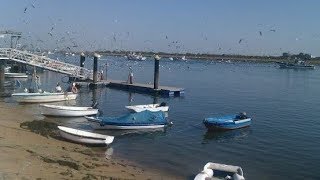 Punta Umbría y El Portil tierras marineras Huelva [upl. by Faustina173]