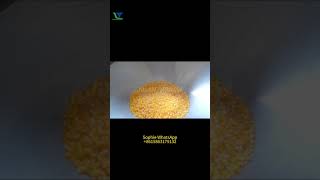 Puffed rice cake machine making 90mm 45mm round triangle rice cakes chips popcorners [upl. by Atinuj]