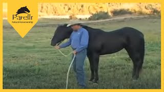 Parelli Natural Horse Training Tip  Pat Parelli shows how to lead a horse [upl. by Trin]