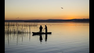 La Albufera de Valencia  Dossiers de Canal 9 [upl. by Jae584]