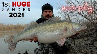 Best Deadbaits for Zander Fishing  TAFishing [upl. by Wilkins682]