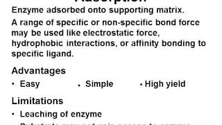 Rate of Respiration in Yeast [upl. by Doownelg]