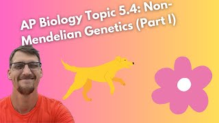 54 NonMendelian Genetics  AP Biology [upl. by Sarat]