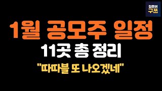 2024년 1월 공모주 일정  기업 8곳  스팩주 3곳  11곳 6분 요약 [upl. by Shanie116]