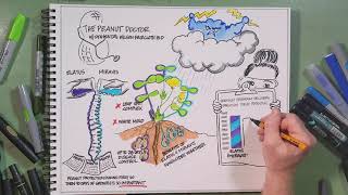 Miravis and Elatus The Backbone of Peanut Disease Control [upl. by Ecienaj]