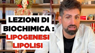 Metabolismo lipidico lipogenesi e lipolisi [upl. by Tatiana313]